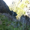 Plants: image 66 Of 208 Thumb
